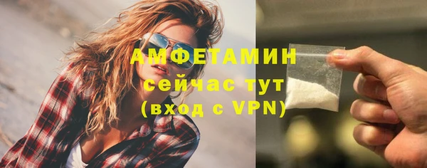 прущие грибы Баксан
