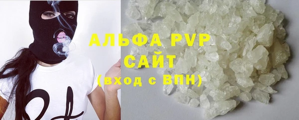 прущие грибы Баксан