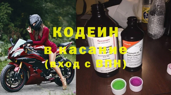 прущие грибы Баксан