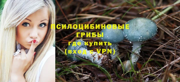 сатива Балабаново