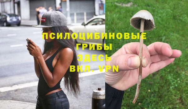 сатива Балабаново